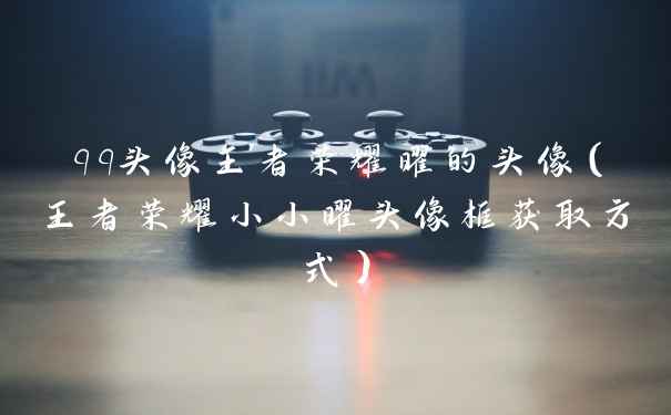 qq头像王者荣耀曜的头像（王者荣耀小小曜头像框获取方式）