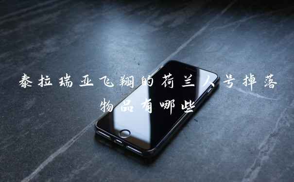 泰拉瑞亚飞翔的荷兰人号掉落物品有哪些