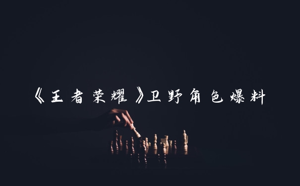 《王者荣耀》卫野角色爆料