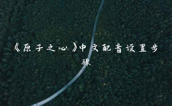 《原子之心》中文配音设置步骤