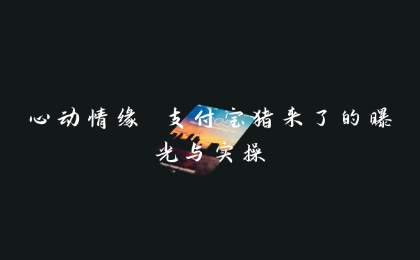 心动情缘 支付宝猪来了的曝光与实操