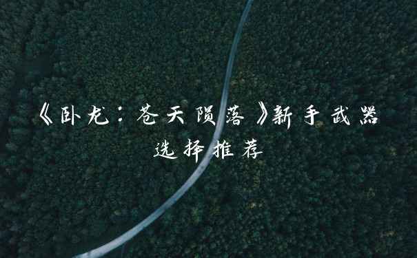 《卧龙:苍天陨落》新手武器选择推荐