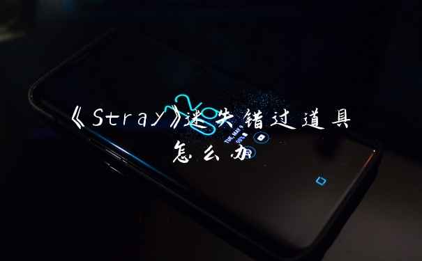 《Stray》迷失错过道具怎么办