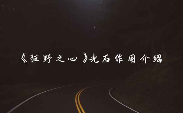 《狂野之心》光石作用介绍