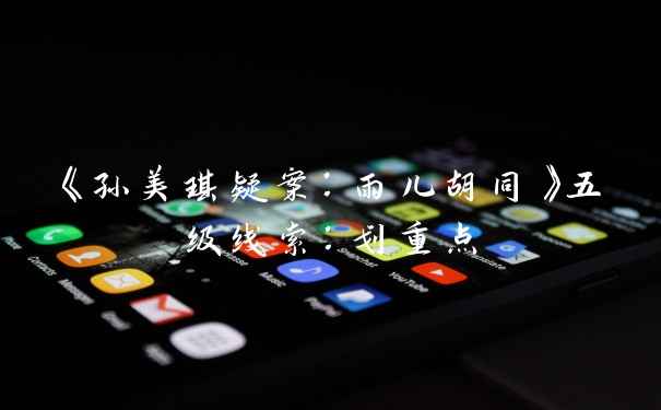 《孙美琪疑案：雨儿胡同》五级线索：划重点