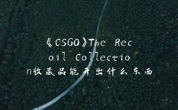 《CSGO》The Recoil Collection收藏品能开出什么东西