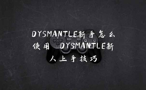 DYSMANTLE新手怎么使用 DYSMANTLE新人上手技巧