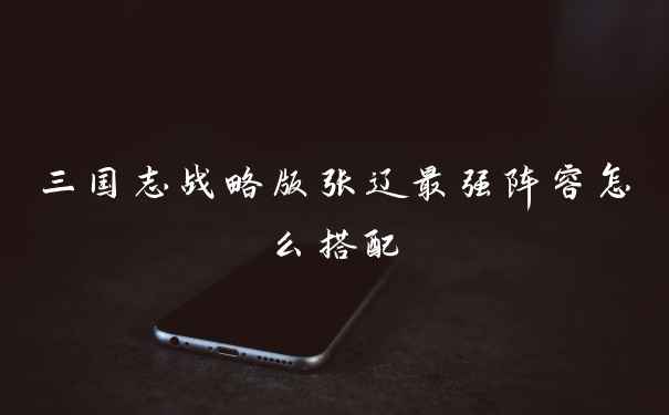 三国志战略版张辽最强阵容怎么搭配