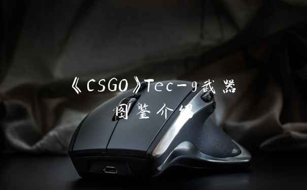 《CSGO》Tec-9武器图鉴介绍