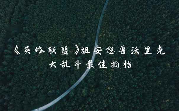 《英雄联盟》祖安怒兽沃里克大乱斗最佳拍档