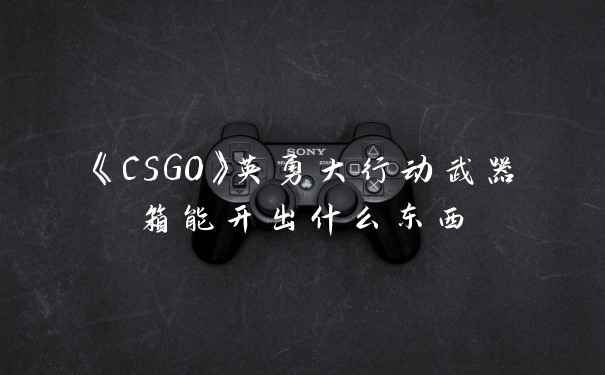 《CSGO》英勇大行动武器箱能开出什么东西