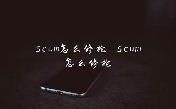 scum怎么修枪 scum怎么修枪