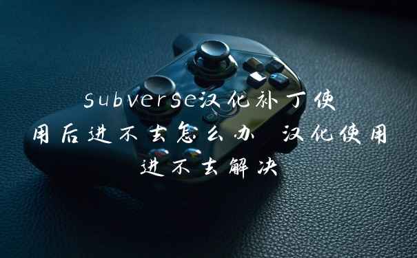 subverse汉化补丁使用后进不去怎么办 汉化使用进不去解决