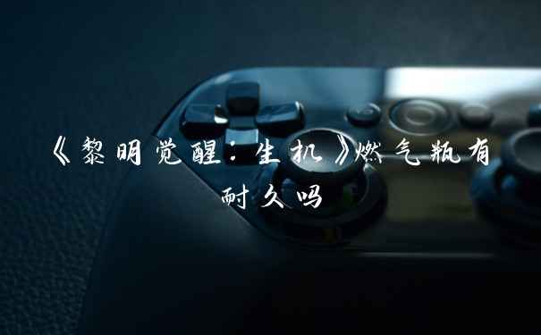 《黎明觉醒：生机》燃气瓶有耐久吗