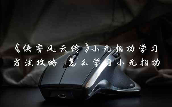 《侠客风云传》小无相功学习方法攻略 怎么学习小无相功