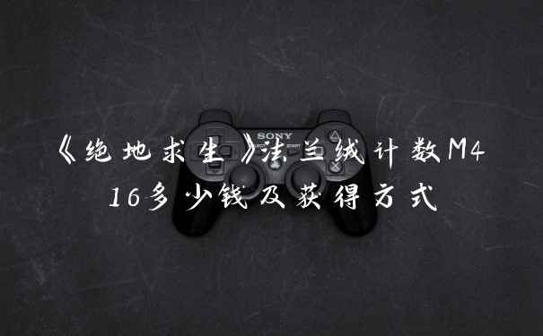 《绝地求生》法兰绒计数M416多少钱及获得方式