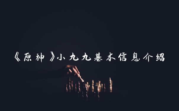 《原神》小九九基本信息介绍