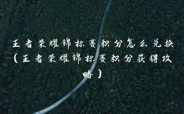 王者荣耀锦标赛积分怎么兑换（王者荣耀锦标赛积分获得攻略）