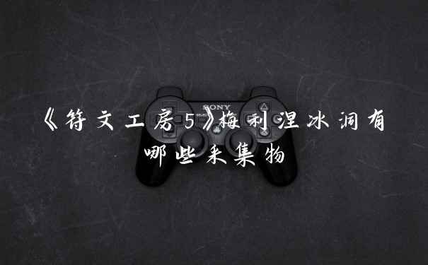 《符文工房5》梅利涅冰洞有哪些采集物