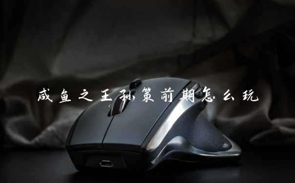 咸鱼之王孙策前期怎么玩