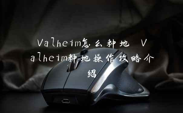 Valheim怎么种地 Valheim种地操作攻略介绍