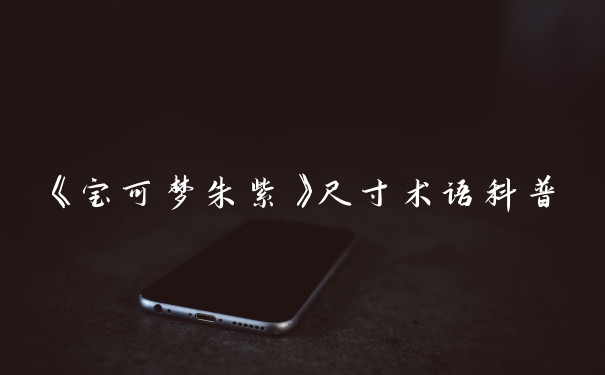 《宝可梦朱紫》尺寸术语科普