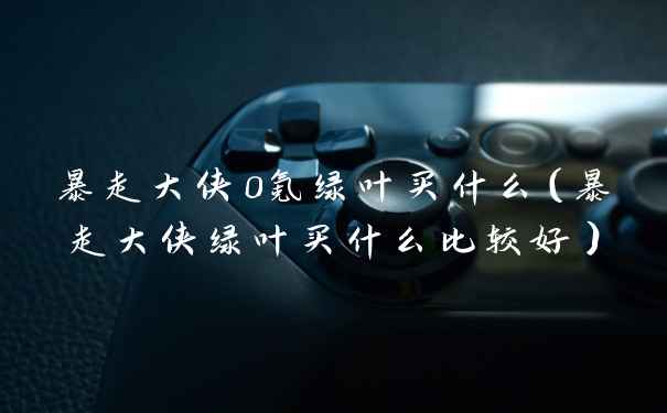 暴走大侠0氪绿叶买什么(暴走大侠绿叶买什么比较好)