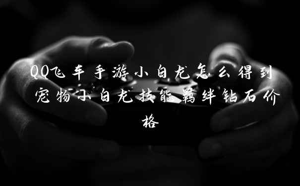 QQ飞车手游小白龙怎么得到 宠物小白龙技能羁绊钻石价格