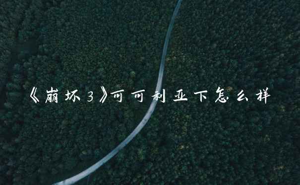 《崩坏3》可可利亚下怎么样