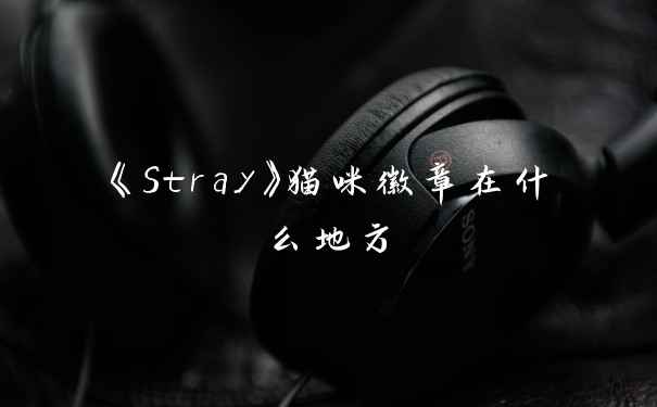 《Stray》猫咪徽章在什么地方