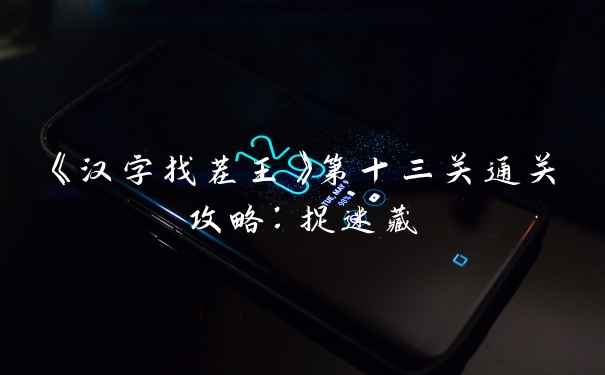 《汉字找茬王》第十三关通关攻略：捉迷藏