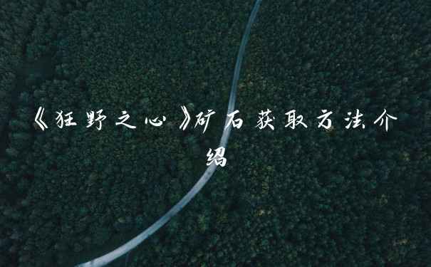《狂野之心》矿石获取方法介绍