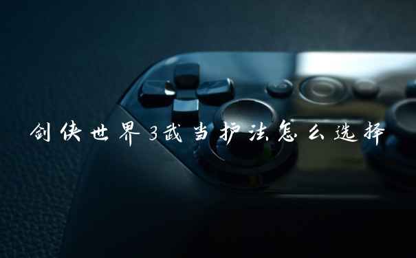 剑侠世界3武当护法怎么选择