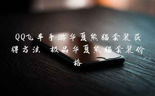 QQ飞车手游华夏熊猫套装获得方法 极品华夏熊猫套装价格