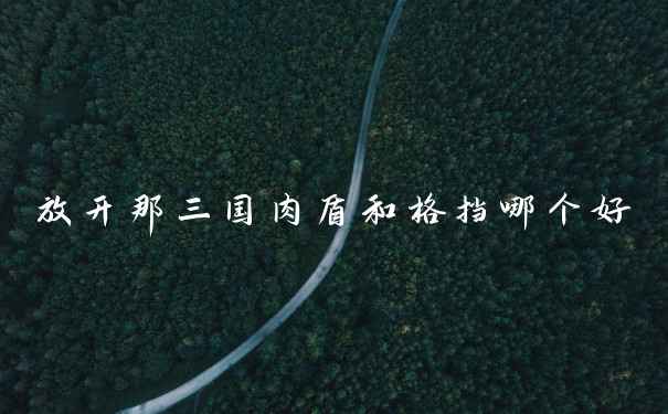 放开那三国肉盾和格挡哪个好