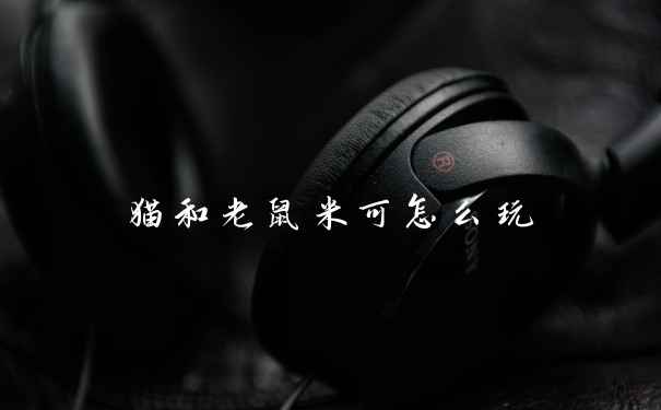 猫和老鼠米可怎么玩