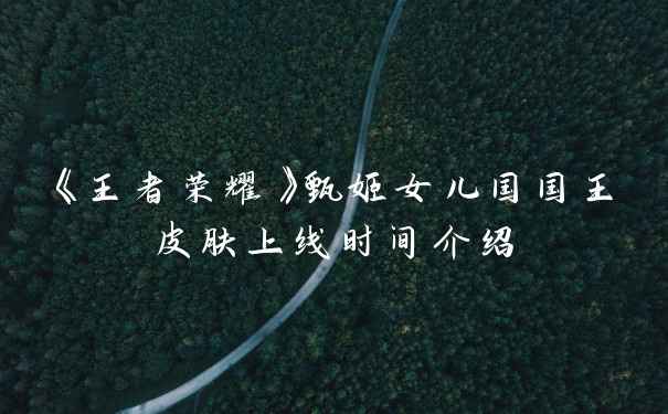 《王者荣耀》甄姬女儿国国王皮肤上线时间介绍