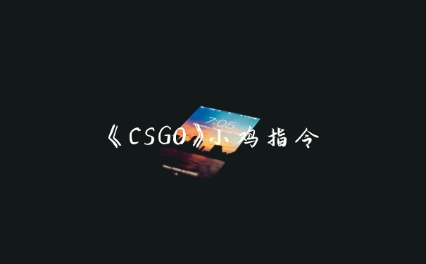 《CSGO》小鸡指令