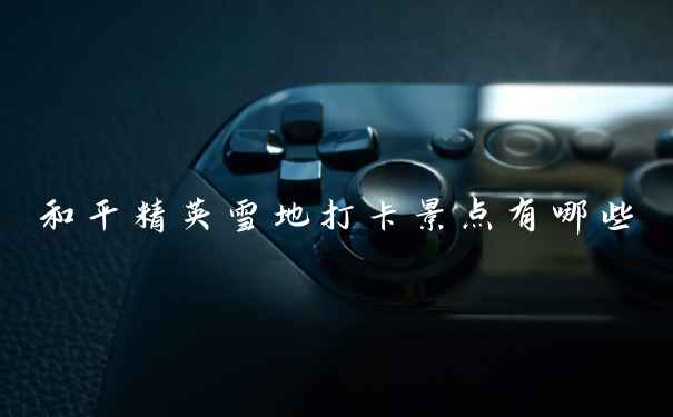 和平精英雪地打卡景点有哪些