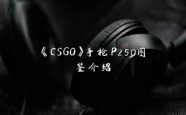《CSGO》手枪P250图鉴介绍