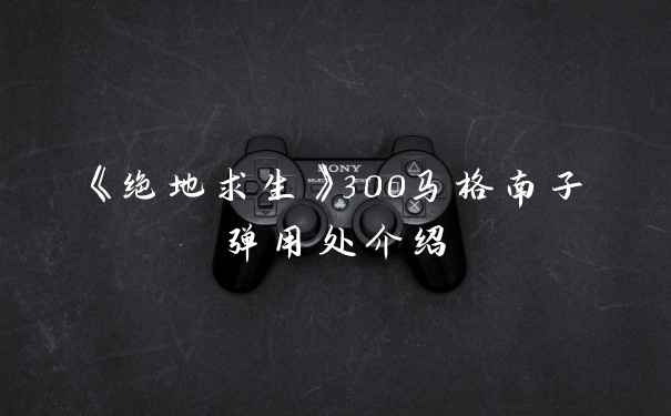 《绝地求生》300马格南子弹用处介绍