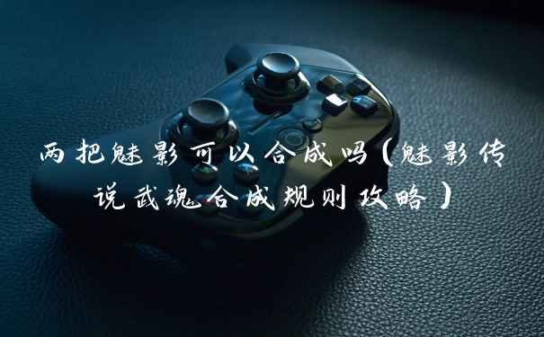 两把魅影可以合成吗（魅影传说武魂合成规则攻略）