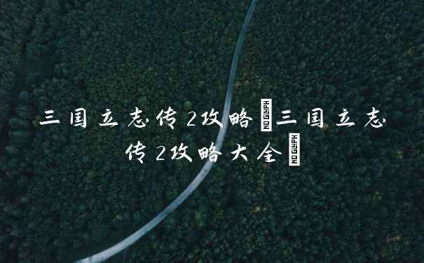 三国立志传2攻略(三国立志传2攻略大全)