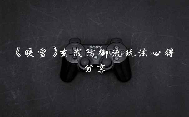 《暖雪》玄武防御流玩法心得分享