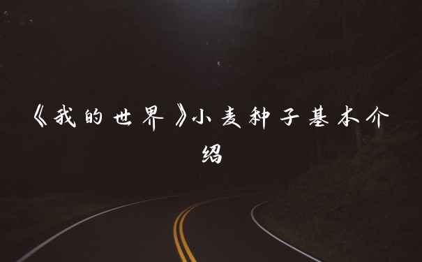 《我的世界》小麦种子基本介绍