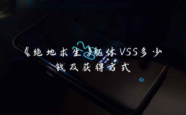 《绝地求生》躯体VSS多少钱及获得方式