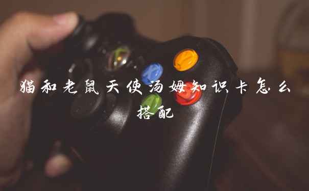 猫和老鼠天使汤姆知识卡怎么搭配