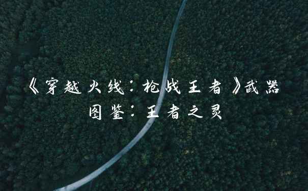 《穿越火线：枪战王者》武器图鉴：王者之灵