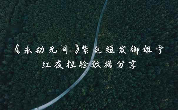 《永劫无间》紫色短发御姐宁红夜捏脸数据分享