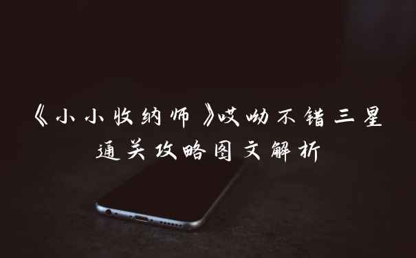 《小小收纳师》哎呦不错三星通关攻略图文解析